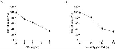 Tunicamycin Induces Hepatic Stellate Cell Apoptosis Through Calpain-2/Ca2 +-Dependent Endoplasmic Reticulum Stress Pathway